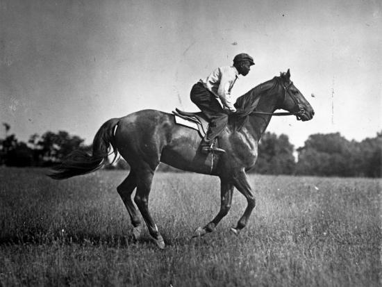 Race Horse Man O' War
