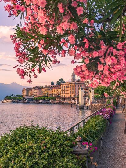 A View of Bellagio