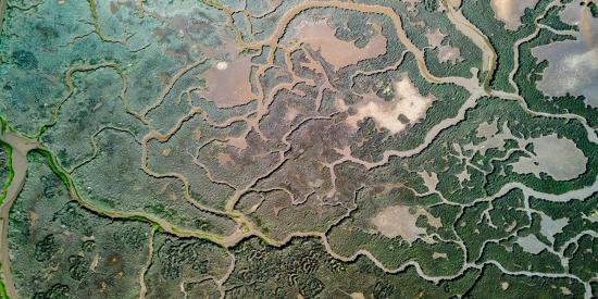 Everglades National Park View from Above