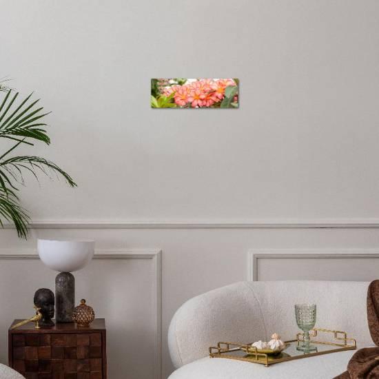 Bouquet of Blooming Hawaiian Tropical Pink Flowers Plumeria. Nature Floral Background. 3 Bouquet of Blooming Hawaiian Tropical Pink Flowers Plumeria. Nature Floral Background.