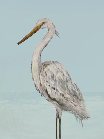 Graceful Coastal Heron II