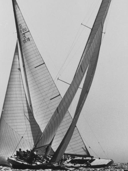 Trial Race For the America's Cup