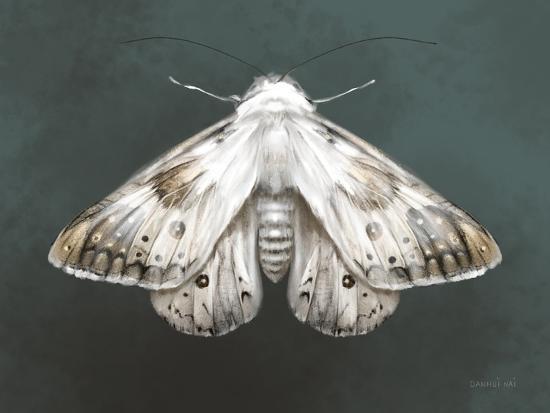 Graceful Moth II