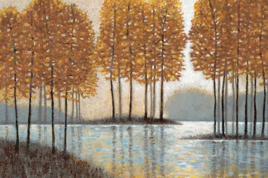 Amber Reflections
